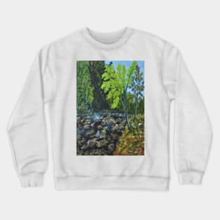 Ponds Crewneck Sweatshirt